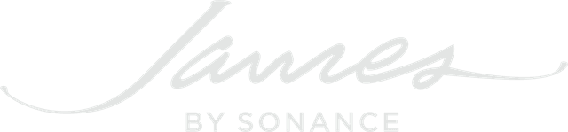 James Loudspeaker Light Gray (CMYK) Logo